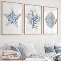 Coastal Frameless Poster Wall Art (Set of 3)
