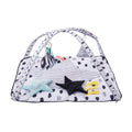 Tummy Time Baby Play Gym Mat