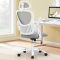 Ergonomic Mesh Office Computer Desk Chair