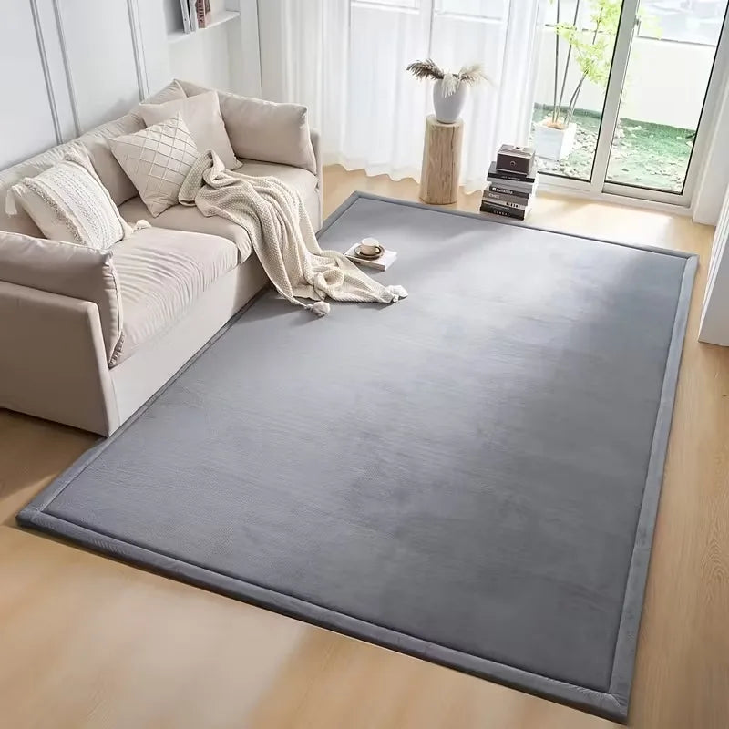 Modern Velvet Soft Non-Slip Carpet